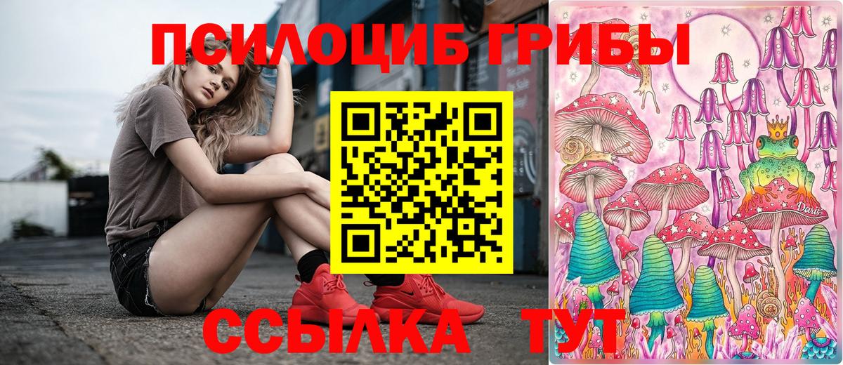 Псилоцибиновые грибы Cubensis  Вход с VPN  Ангарск 